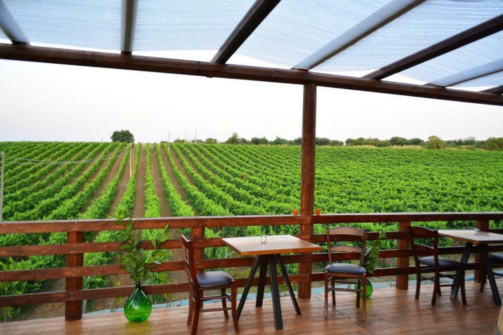Agriturismo Tenuta Lagala Веноса Екстериор снимка